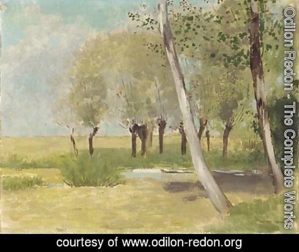 Odilon Redon - Les bouleaux en automne