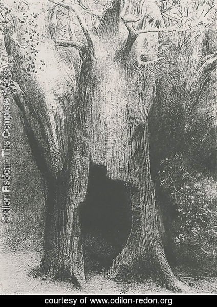 I plunged into solitude. I dwelt in the tree behind me. (plate 9)