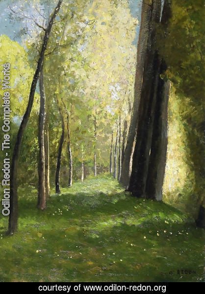 Odilon Redon - Lane of Trees