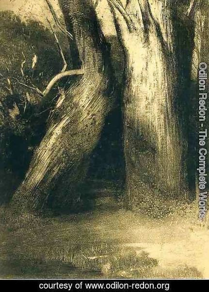 Odilon Redon - Two trees