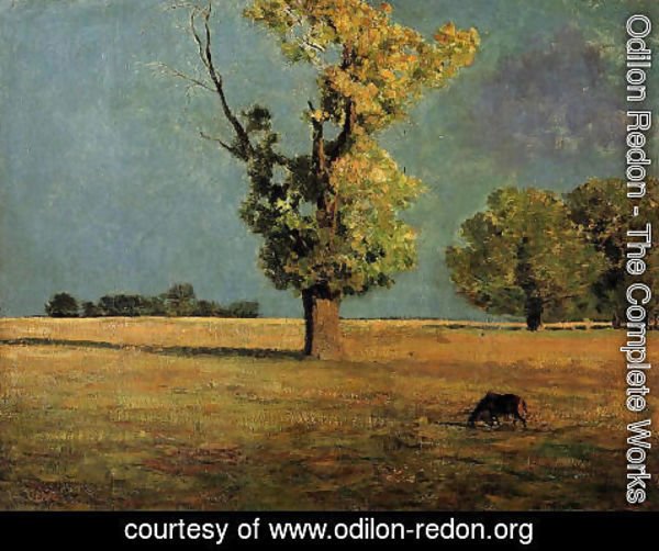Odilon Redon - Peyrelebade Landscape2